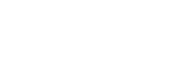 Slajd 8