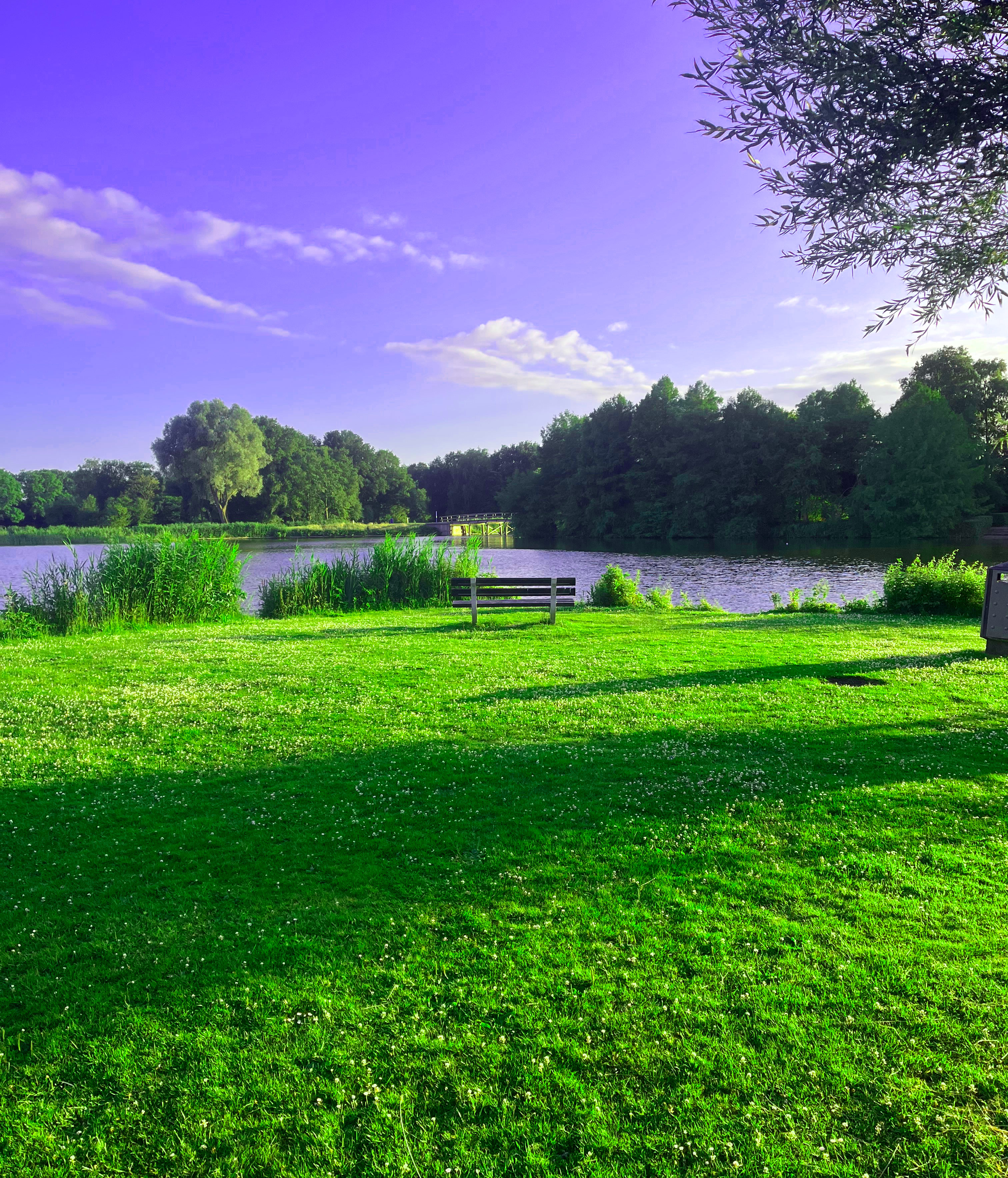 Antoni Żabicki - quei - press photo 1